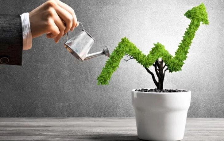 Investing for Dummies: where to invest?